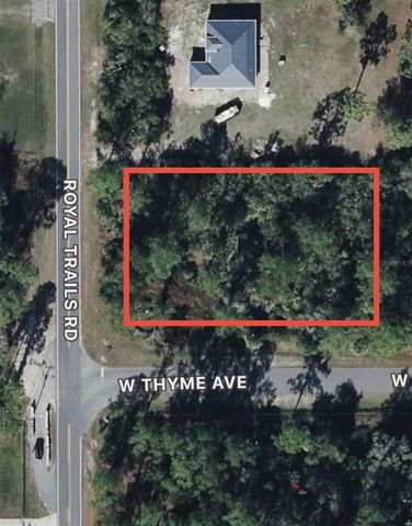 W THYME AVENUE, Eustis, FL 32736