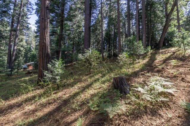 1215 Laurel Circle, Arnold, CA 95223