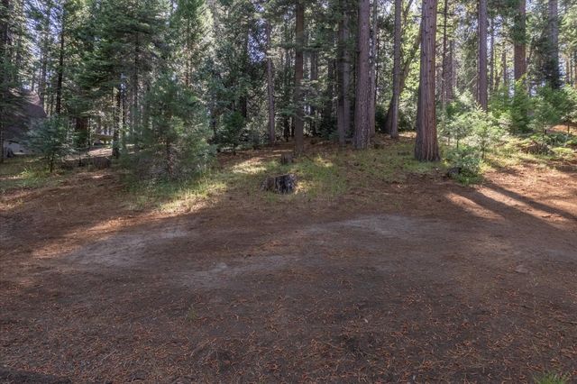1215 Laurel Circle, Arnold, CA 95223
