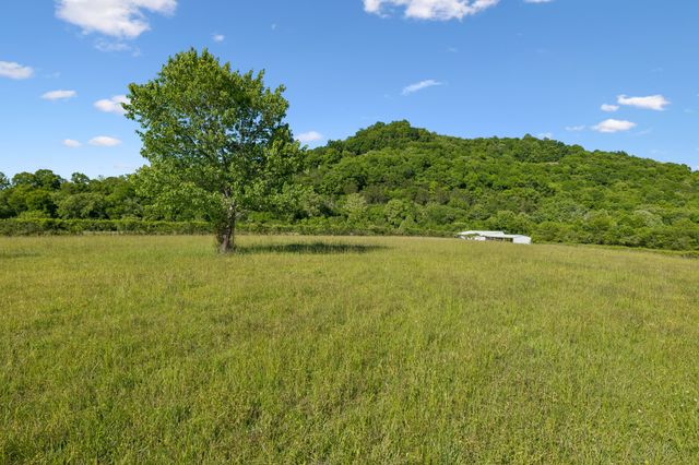 97 Seabo Valley Ln, Hickman, TN 38567
