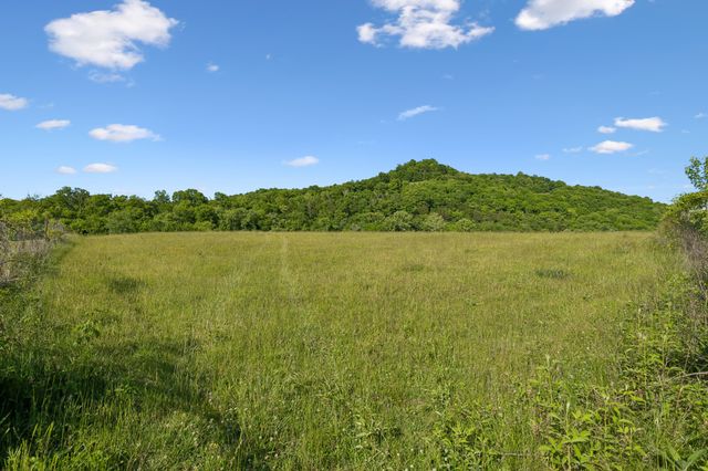 97 Seabo Valley Ln, Hickman, TN 38567
