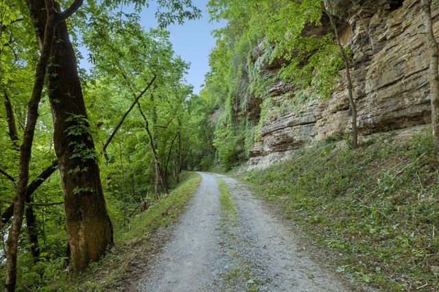 97 Seabo Valley Ln, Hickman, TN 38567