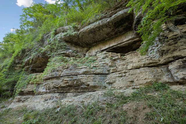 97 Seabo Valley Ln, Hickman, TN 38567