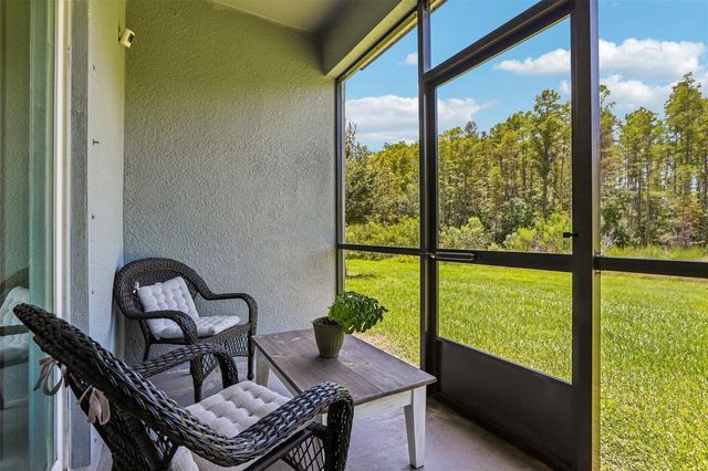 17448 RADIANT SHINE WAY, Lutz, FL 33558