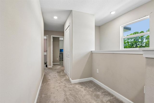 17448 RADIANT SHINE WAY, Lutz, FL 33558