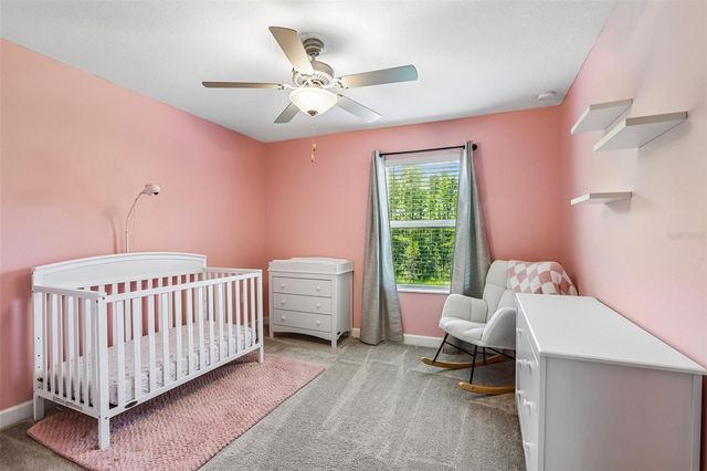 17448 RADIANT SHINE WAY, Lutz, FL 33558
