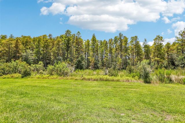 17448 RADIANT SHINE WAY, Lutz, FL 33558