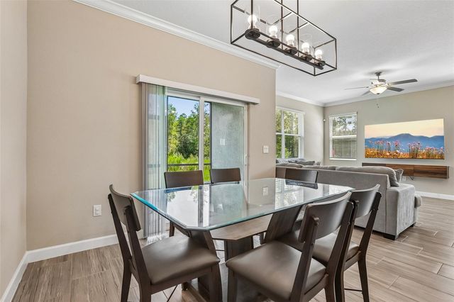 17448 RADIANT SHINE WAY, Lutz, FL 33558