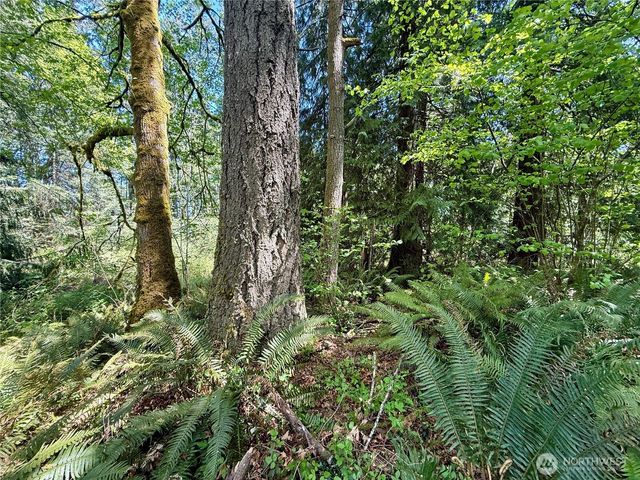 5162 Phillips Road SE, Port Orchard, WA 98367
