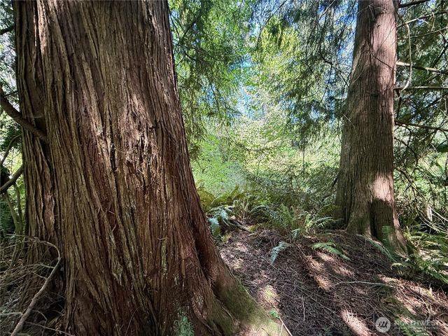 5162 Phillips Road SE, Port Orchard, WA 98367
