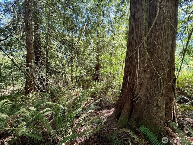 5162 Phillips Road SE, Port Orchard, WA 98367