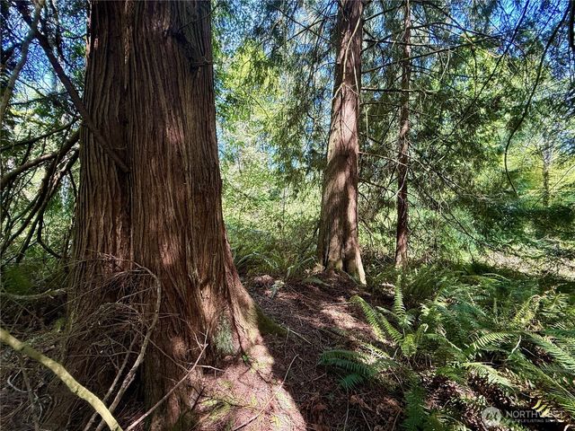 5162 Phillips Road SE, Port Orchard, WA 98367