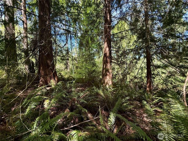 5162 Phillips Road SE, Port Orchard, WA 98367