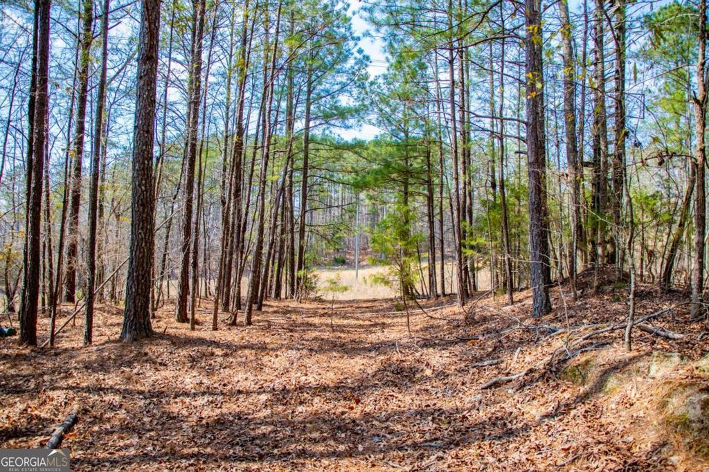 3940 Clinton Court, Villa Rica, GA 30180