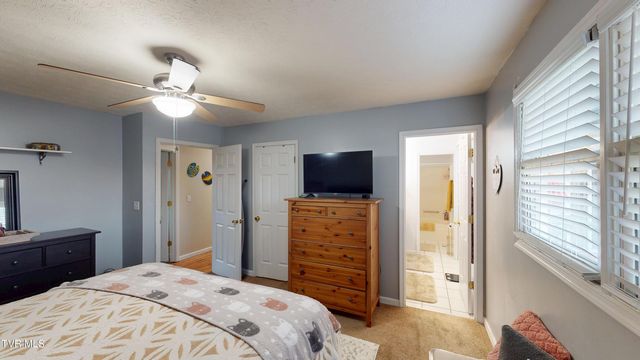 167 Highland Hills Drive, Gray, TN 37615