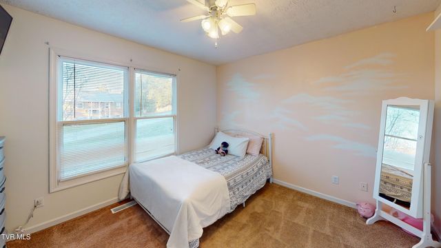 167 Highland Hills Drive, Gray, TN 37615