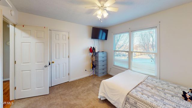 167 Highland Hills Drive, Gray, TN 37615