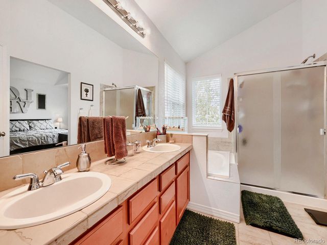 6911 Turnstone Avenue, Castle Rock, CO 80104