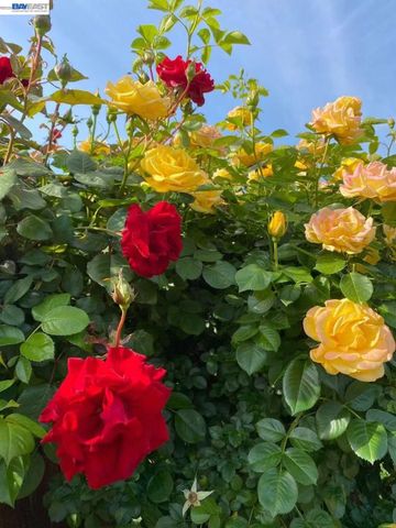 4022 Silver St, Pleasanton, CA 94566