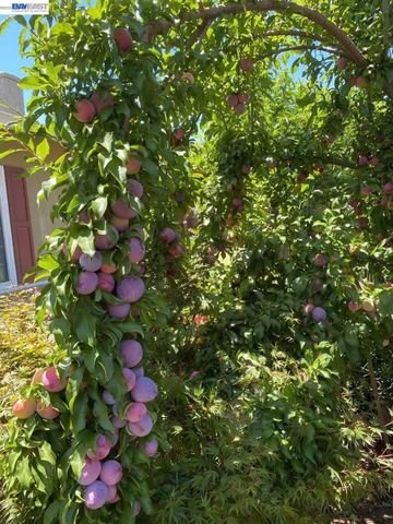 4022 Silver St, Pleasanton, CA 94566