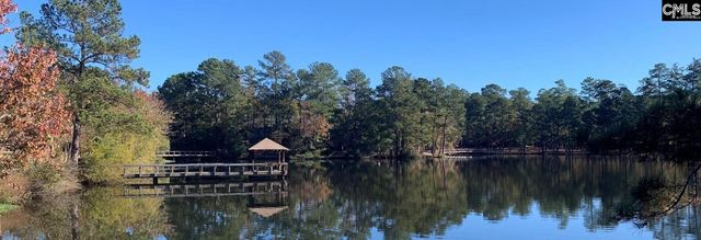 605 Timberleaf Court, Columbia, SC 29212