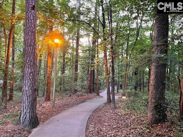 605 Timberleaf Court, Columbia, SC 29212