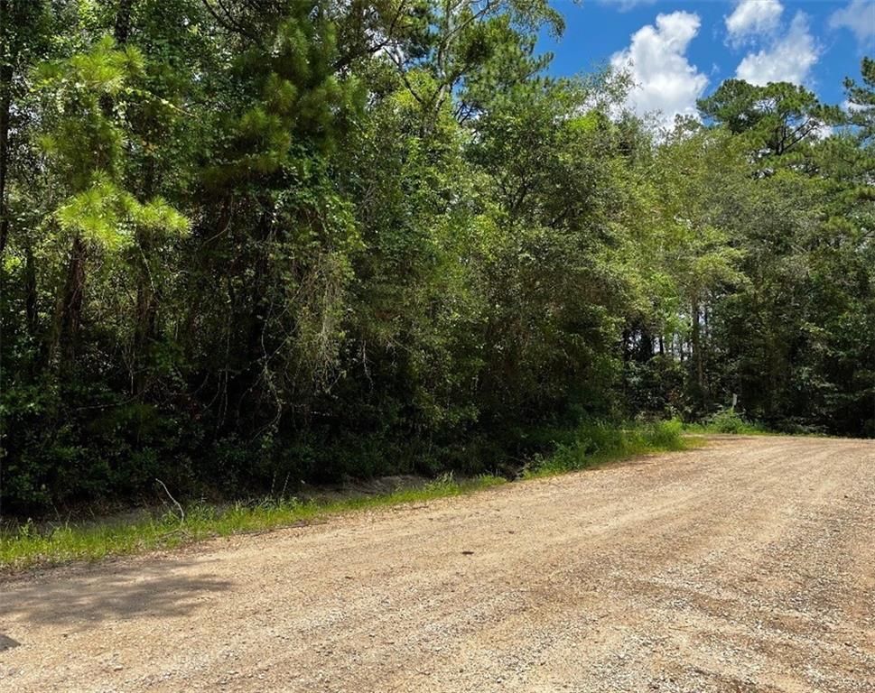 0 Belle Terrace Drive, Theodore, AL 36582 — exterior