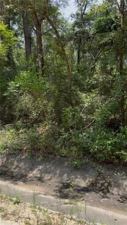 0 Belle Terrace Drive, Theodore, AL 36582 — photo 2