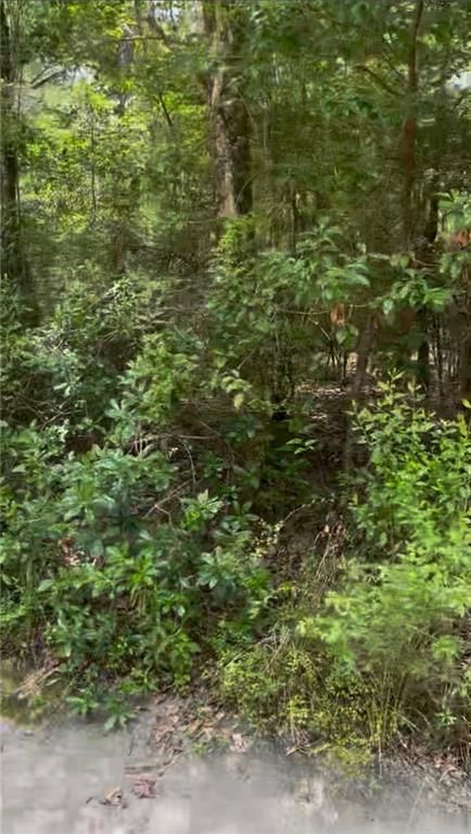 0 Belle Terrace Drive, Theodore, AL 36582 — photo 3