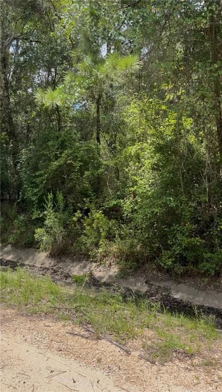 0 Belle Terrace Drive, Theodore, AL 36582 — photo 4