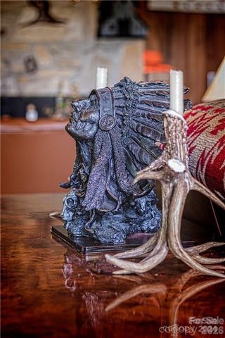 2736 White Oak Flats Road, Green Mountain, NC 28740