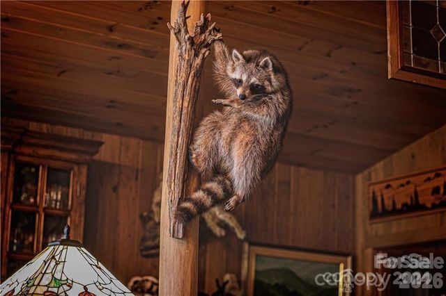 2736 White Oak Flats Road, Green Mountain, NC 28740