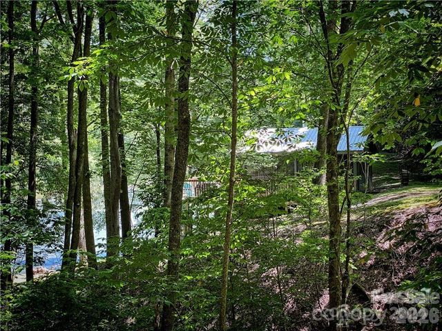 2736 White Oak Flats Road, Green Mountain, NC 28740