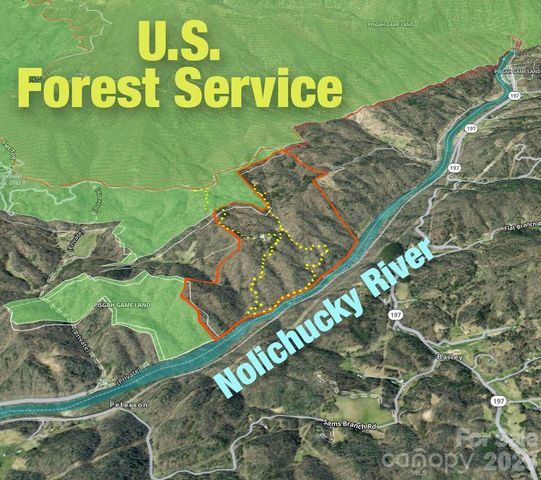 2736 White Oak Flats Road, Green Mountain, NC 28740