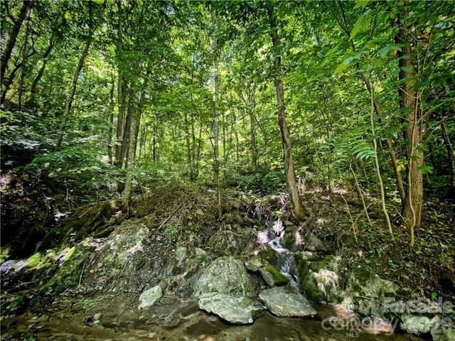 2736 White Oak Flats Road, Green Mountain, NC 28740