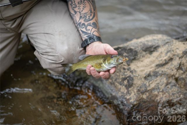 2736 White Oak Flats Road, Green Mountain, NC 28740