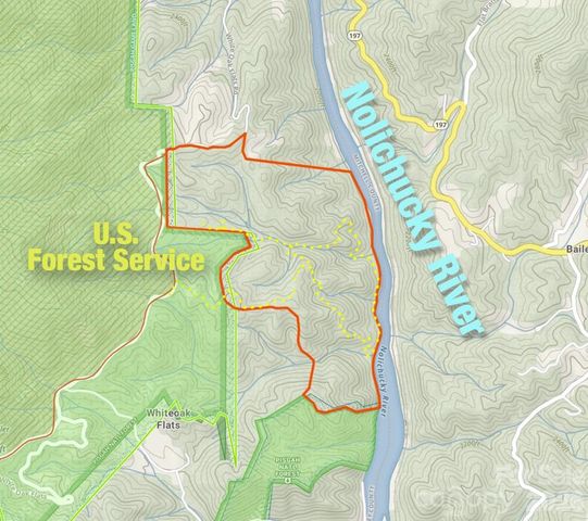 2736 White Oak Flats Road, Green Mountain, NC 28740