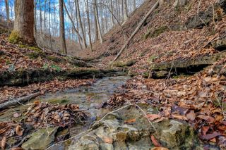 0 Hutchings Bend Rd, Sparta, TN 38583