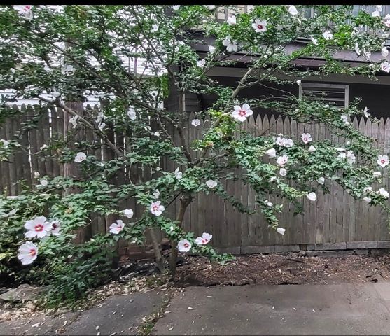 258 W Broadway 6, Boston, MA 02127