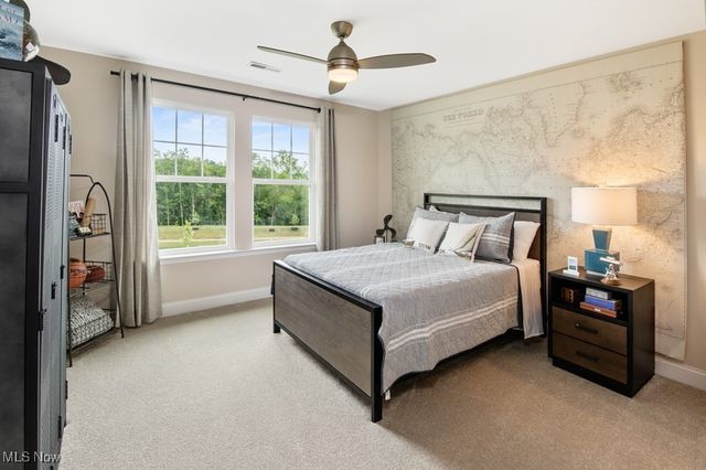 3381 White Willow Lane, Brunswick, OH 44212