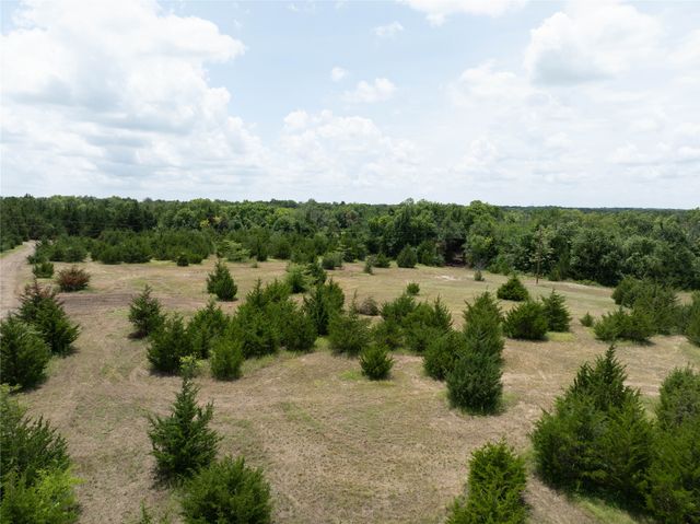 TBD Tract 6 CR 2997, Honey Grove, TX 75446