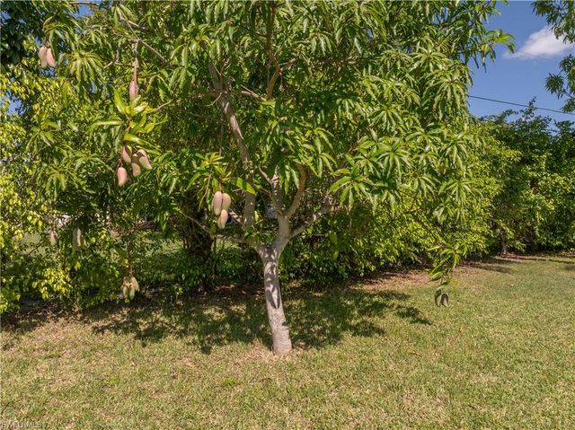 208 NE 9th AVE, Cape Coral, FL 33909