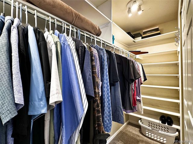 1089 Riddlewood Lane, Highlands Ranch, CO 80129