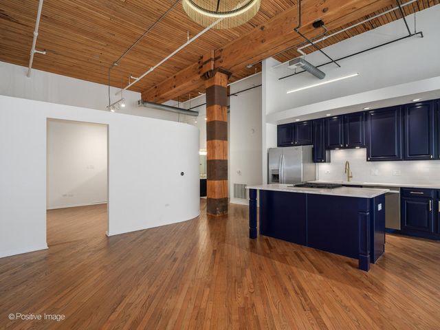 360 W Illinois Street 231, Chicago, IL 60654