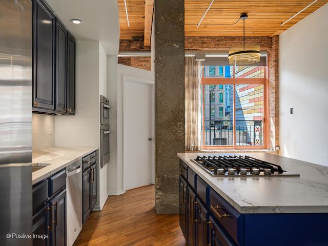 360 W Illinois Street 231, Chicago, IL 60654