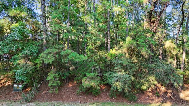 26 Sunny Hill Drive, Coldspring, TX 77331