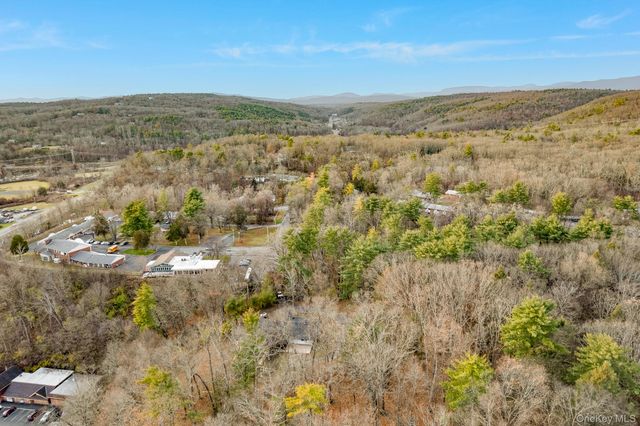 233 Forest Hill Drive, Kingston, NY 12401