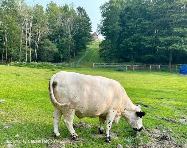 241 Cunningham Hill Road, Canaan, NY 12029