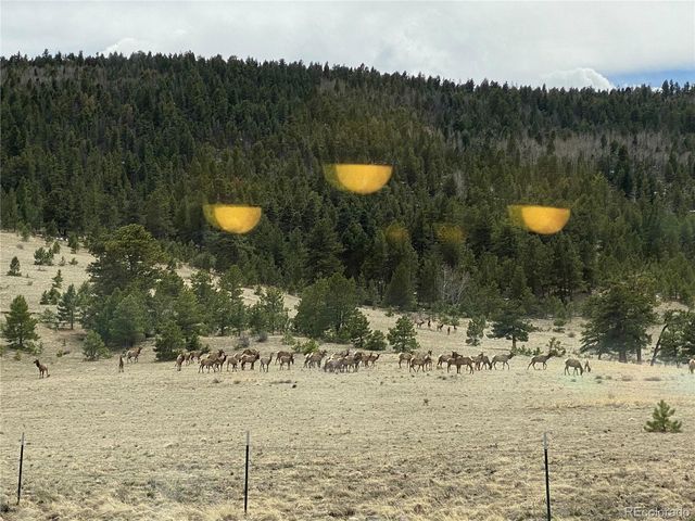 324 Elk View Court, Canon City, CO 81212