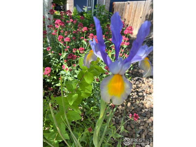 204 Linden St, Frederick, CO 80530